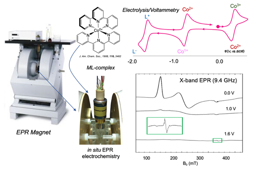Redox non-innocent first row transition metal complexes