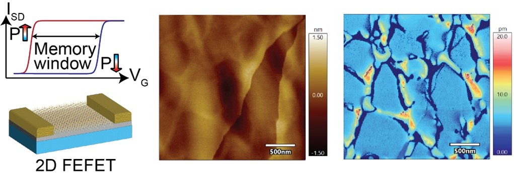 2D ferroelectric materials for future technology