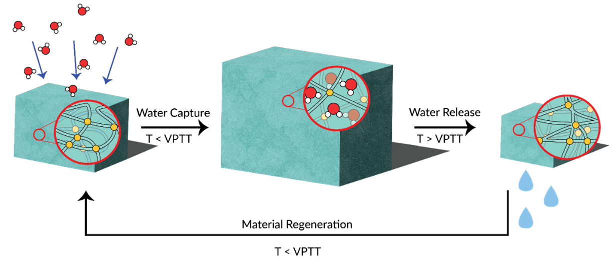 Water harvesting materials