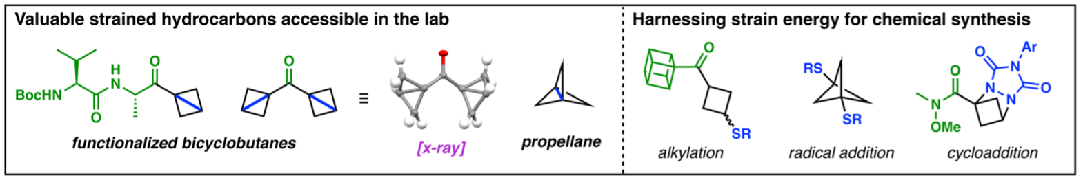 Spring-Loaded Electrophiles: Powerful Tools for Organic Synthesis
