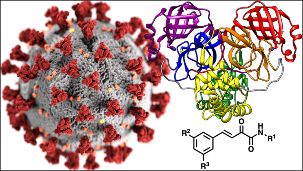 Broad-spectrum inhibitors of viral proteases