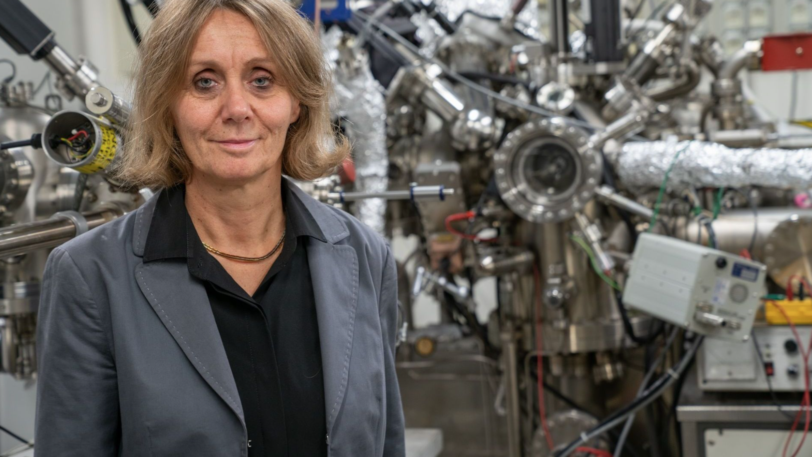 Professor Roberta Sessoli Professor Roberta Sessoli 2024