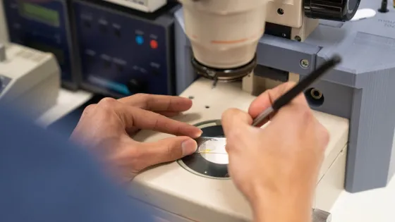 Advanced Single Crystal Mounting