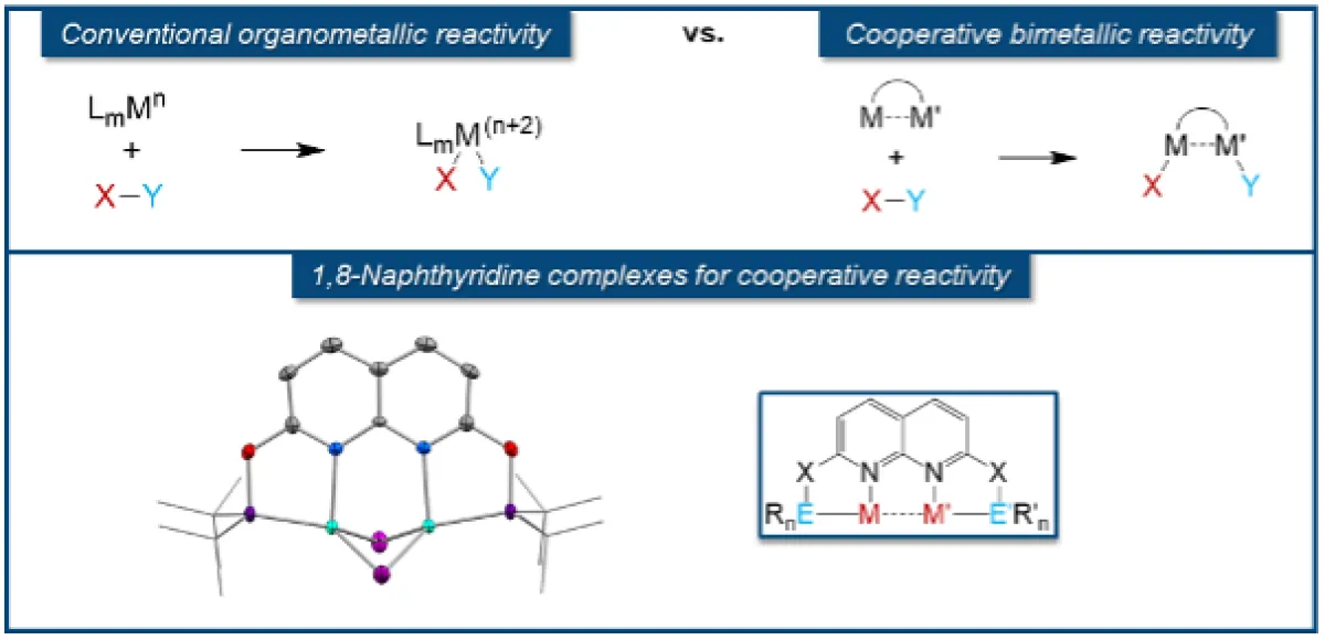 Designing Metal Catalyst