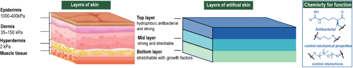 strong and self-healing polymer materials