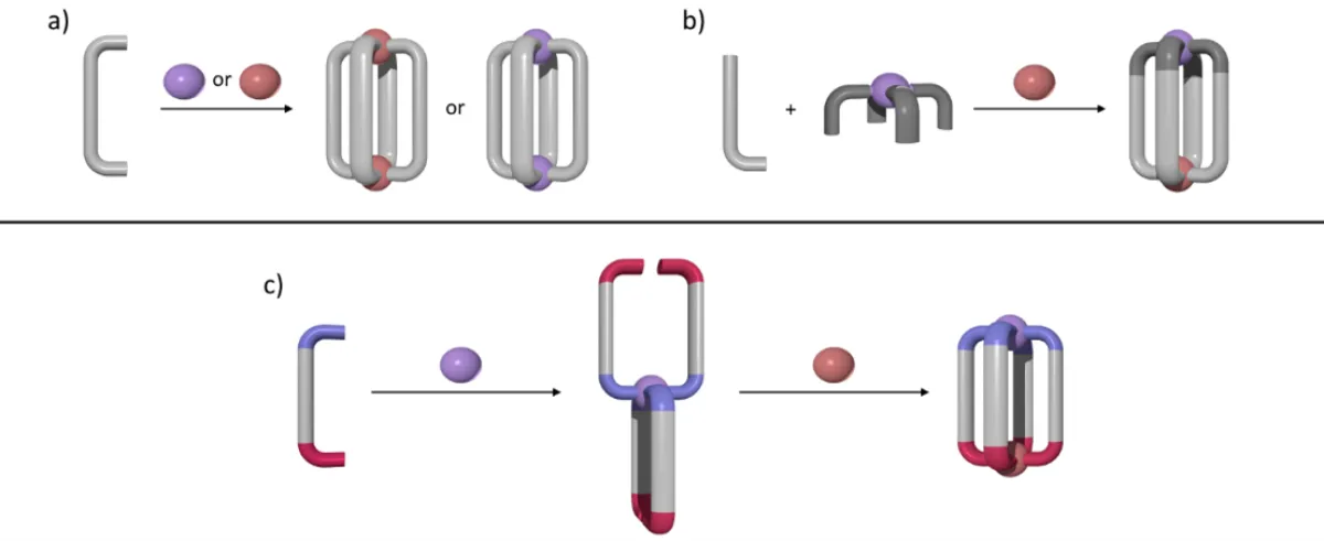 Figure 1: Cartoon representations of a) homometallic M2L4 cages systems (where M = Pd(II) or Pt(II)); b and c) related heterometallic PdPtL4 systems.