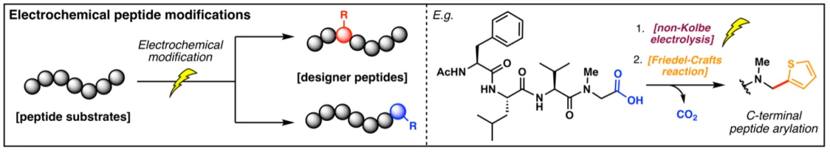 Accessing Designer Peptides Using Electro-Organic Synthesis