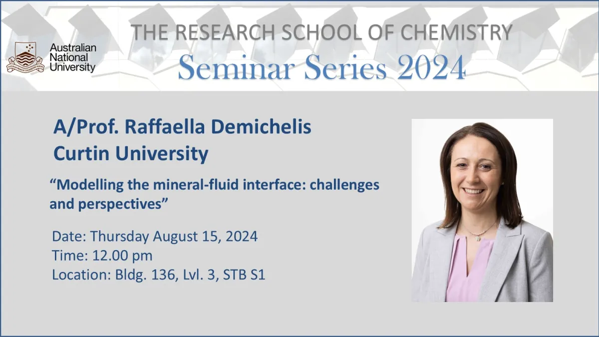 RSC School Seminar - Raffaella Demichelis 15.08.2024