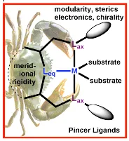 Non-classical Pincer Ligands for Catalytic Applications