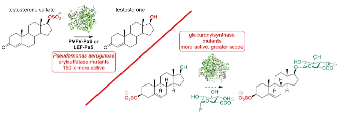 Enzyme engineering for improved catalysis