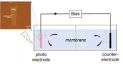 Emerging advanced 2D materials